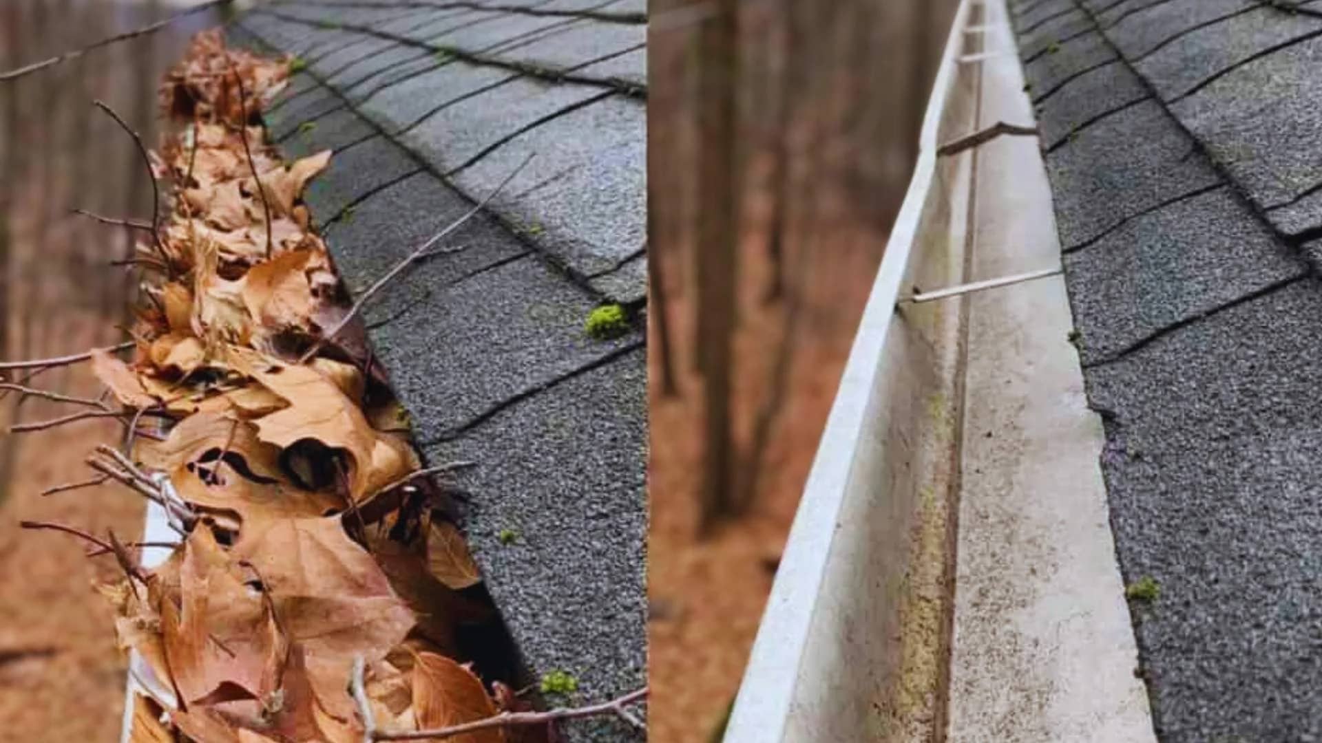 Gutter transformation in Rockcliffe Park - before and after cleaning