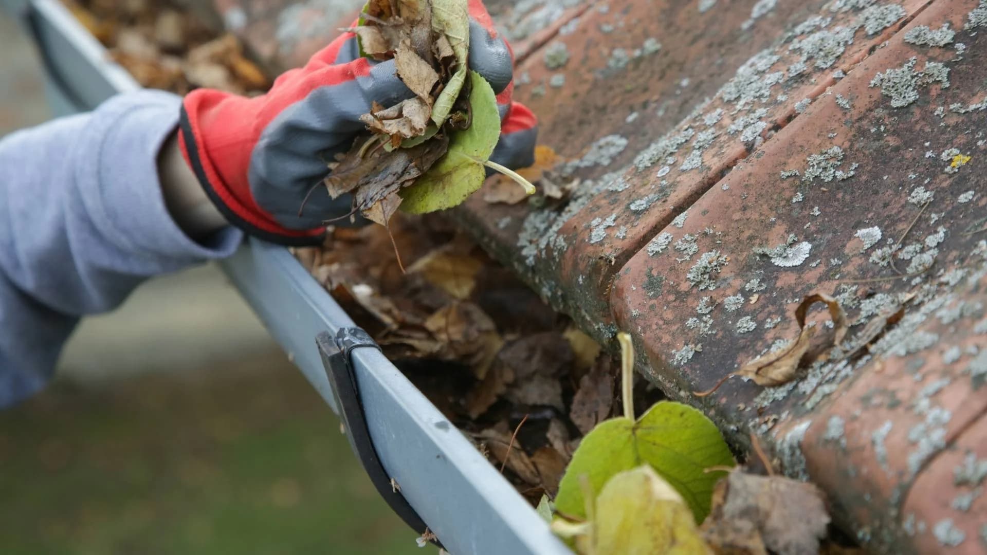Gutter Cleaning